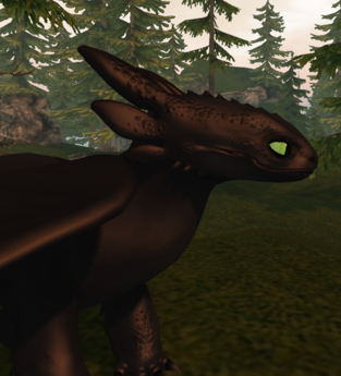 Second Life Marketplace - Night Fury Normals